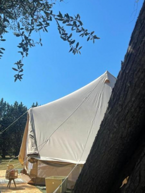 Glamour TentF Parco degli ulivi, Peschici